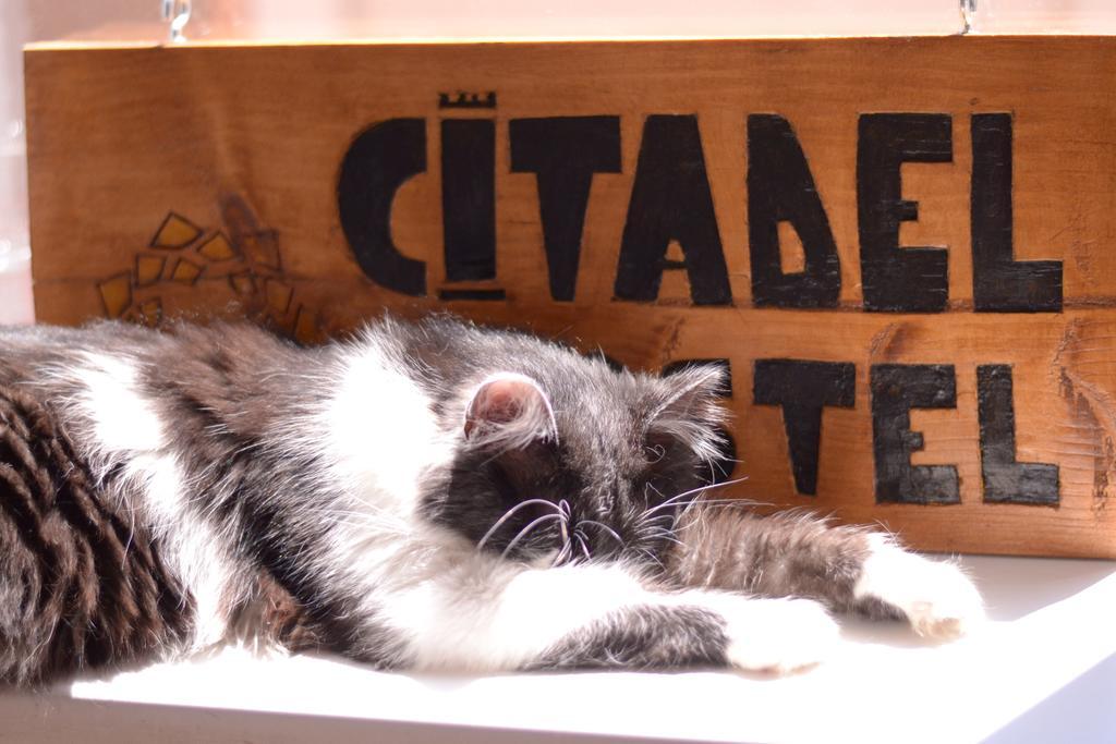 Citadel Hostel Alba Iulia Exteriör bild